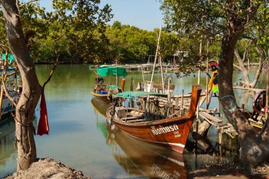 Geleneksel Tayland uzun kuyruklu teknesi yemyeşil ağaçlarla dolu sakin bir mangrov nehrine demirlemiş. Tayland Phuket