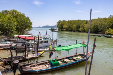Geleneksel Tayland uzun kuyruklu teknesi yemyeşil ağaçlarla dolu sakin bir mangrov nehrine demirlemiş. Tayland Phuket