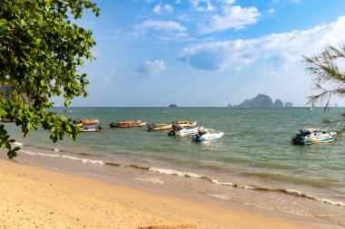 Sakin tropikal sahil sularında kayık gezintisi, Tayland yengeci