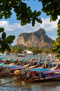 Geleneksel uzun kuyruklu tekneler, dramatik uçurumları ve mavi gökyüzü olan güneşli bir tropikal plaja demirlemişti. Tayland yengeci