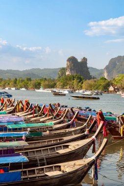 Geleneksel uzun kuyruklu tekneler, dramatik uçurumları ve mavi gökyüzü olan güneşli bir tropikal plaja demirlemişti. Tayland yengeci