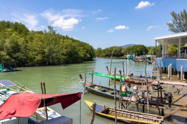 Geleneksel Tayland uzun kuyruklu teknesi yemyeşil ağaçlarla dolu sakin bir mangrov nehrine demirlemiş. Tayland Phuket