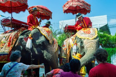 Ayutthaya, Tayland 'da kutlama sırasında fillere binen Asyalılar 