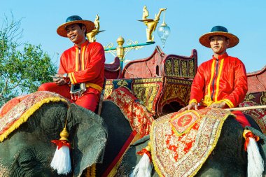 Ayutthaya, Tayland 'da kutlama sırasında fillere binen Asyalılar 