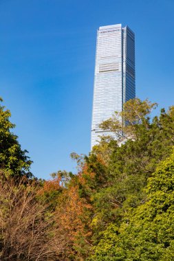 Hong Kong 'da ağaçlarla çevrili bir gökdelen.