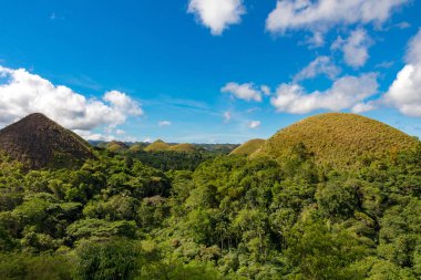 Filipinlerdeki Çikolata Tepeleri, doğa manzarası, hava manzarası 