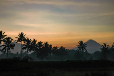 Volkanik dağlar ve tropikal palmiye siluetleri, sisli manzara