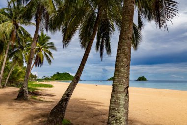 Altın kumu, turkuaz suyu ve uzakta yemyeşil bir adası olan sakin bir sahil.