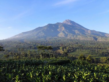 Beautiful indonesian landscape with Mount Mrapi in the background. Central Java Indonesia.
