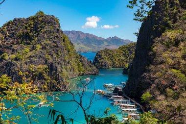 Coron Palawan Filipinleri 12 Nisan 2018 Cyc plajındaki genel doğa manzarası
