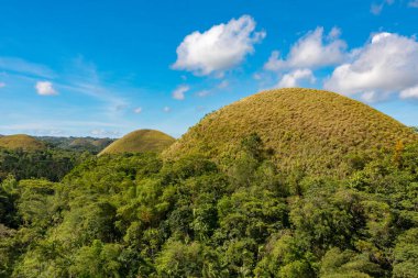 Filipinlerdeki Çikolata Tepeleri, doğa manzarası, hava manzarası 