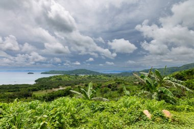 Palawan 'daki yemyeşil deniz manzarası