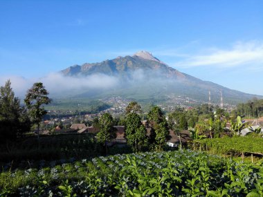 Beautiful indonesian landscape with Mount Mrapi in the background. Central Java Indonesia.