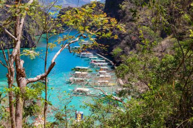 Coron Palawan Filipinleri 12 Nisan 2018 Cyc plajındaki genel doğa manzarası