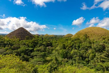 Güzel doğa manzaralı Çikolata Tepeleri