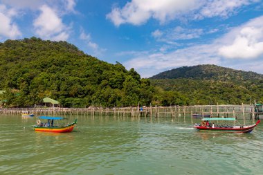 Uzun kuyruklu tekneler Malezya, Tropikal Ada Seyahati, bereketli Yeşil Kıyı Manzarası