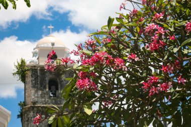 Bohol 'daki kilise kulesinin yanında açan pembe çiçekler.