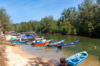 Ağaçların altında Phuket nehri boyunca demirlemiş renkli tekneler.