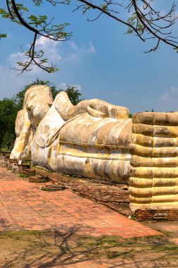 Tayland, Ayutthaya 'daki eski Buda heykeli