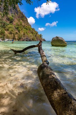 Coron Palawan Filipinleri 12 Nisan 2018 Kayangan Gölü 'ne giden patikadan genel görüş