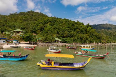 Uzun kuyruklu tekneler Malezya, Tropikal Ada Seyahati, bereketli Yeşil Kıyı Manzarası