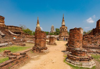 Ayutthaya, Tayland 'da tarihi bir tapınak olan Wat Mahathat' ın ünlü kalıntıları. 
