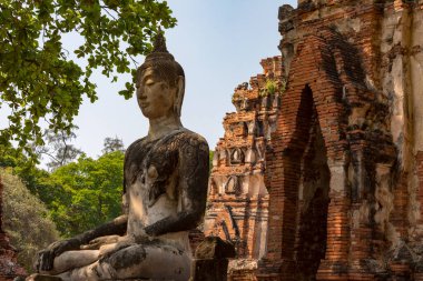  Ayutthaya, Tayland 'daki Wat Mahathat' da Buda heykeli.