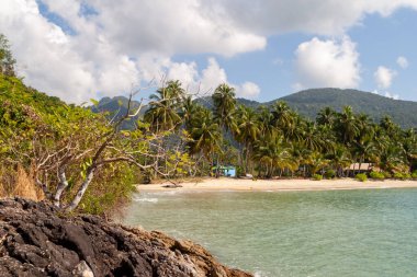 Palmiye ağaçları, temiz su, güneşli gökyüzü bulutları, Koh Chang, Tayland