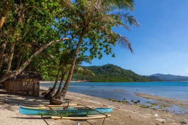 Palmiye ağaçları, Filipinler Güney Leyte ile rahatlatıcı plaj sahnesi