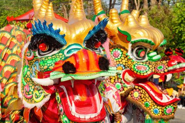 Çin Yeni Yılı 'nda Asya, Tayland, Ayutthaya, Çin ejderhaları.