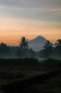 Asya, Endonezya, Orta Java, Güneş doğarken Merapi Dağı