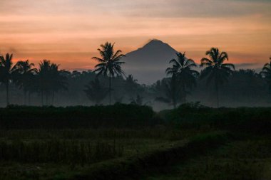 Asya, Endonezya, Orta Java, Güneş doğarken Merapi Dağı