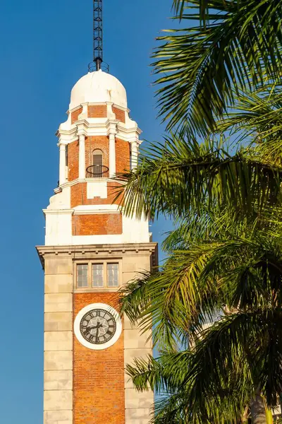 Hong Kong 'da palmiye ağaçlarıyla çevrili saat kulesi.