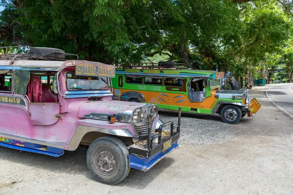 Bohol Filipinlerinde ağaçların altında park etmiş renkli jipler.