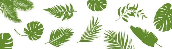 Tropische Blätter Grün Isoliert Dschungel Blatt Exotische Flache Vektor Set — Stockvektor