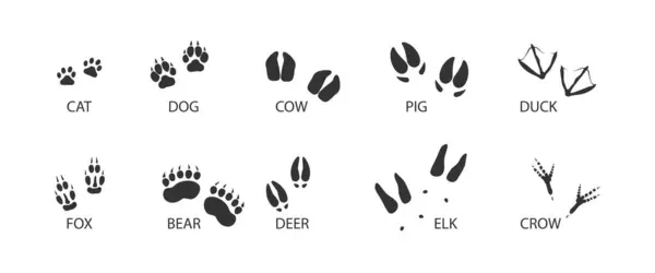 动物追踪黑色设定图标 动物和鸟类的脚印 矢量孤立的说明 图库矢量图片