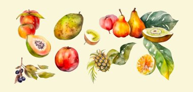 Beyaz arka planda izole edilmiş suluboya tropikal meyveler. Vektör illüstrasyonu