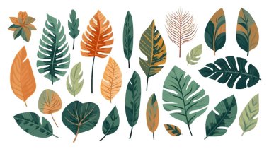 Tropikal yapraklar, beyaz arka planda izole edilmiş düz çizgi film. Vektör illüstrasyonu