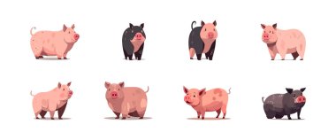 Pig set düz çizgi film beyaz arka planda izole. Vektör illüstrasyonu
