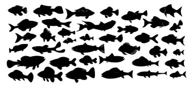 Beyaz arka planda siyah siluet balık seti. Vektör illüstrasyonu