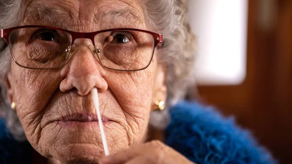 Portrait of old woman taking a self swabbing home tests for Covid19 with antigen kit. Caucasian grandma introducing nasal stick to check the infection of Coronavirus. Grandmother quarantine pandemic.
