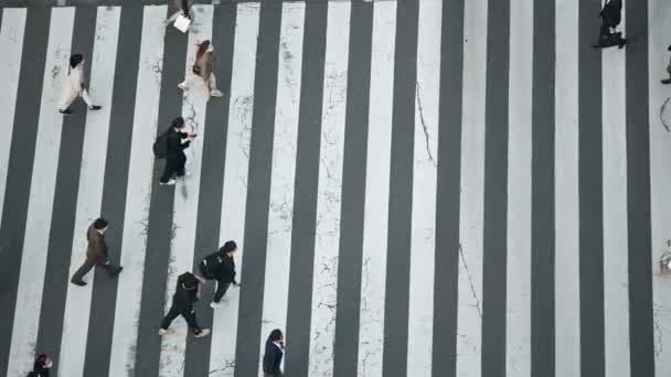 Tokio Japonia Kwietnia 2023 Spowolniony Widok Japończyków Przekraczających Wyraźny Brak — Wideo stockowe