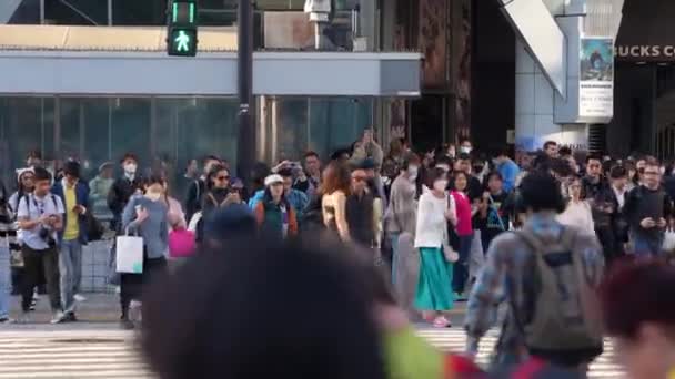 Tokyo Giappone Aprile 2023 Traversata Shibuya Giappone Diventa Alveare Attività — Video Stock