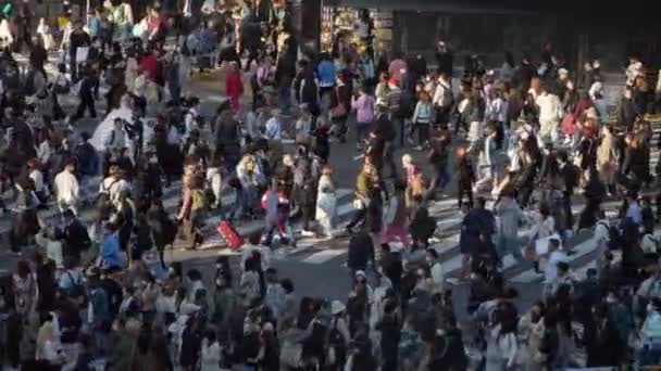 Tokio Japan April 2023 Zeitlupe Der Luftaufnahme Der Szene Entfaltet — Stockvideo