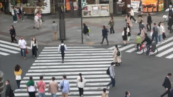 日本人が横断するエレベーター化された景色のぼやけは 誰もがルールに従い 指定された歩行者横断ゾーン内に滞在するため 明確な混乱の欠如があります — ストック動画