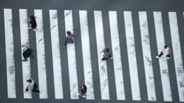Rozmazaný Rozostřený Pohled Letecký Pohled Lidi Procházející Přechodu Zebra Street — Stock video