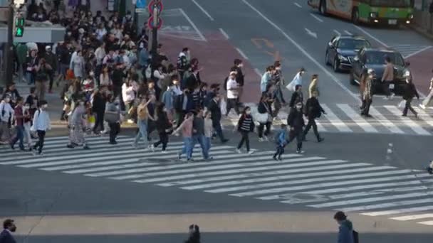 2023 위에서 일본의 시부야 횡단은 교차점을 통과하는 수많은 사람들이 활동의 — 비디오