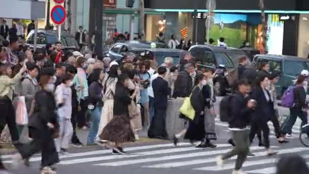 2023年4月10日2023年4月 渋谷交差点に移動する人々の海 街の密度が満ちあふれている東京の日常シーンです 国の人口密度 — ストック動画