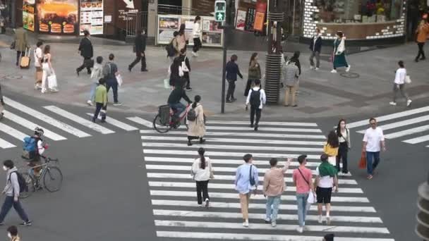 2023年4月13日2023年4月 ゼブラ交差点を歩いている人々のスローモーション空中観察 日本の街のライフスタイル ビジネス 仕事のコンセプト 歩行者との高架ビューポイント交差点 — ストック動画