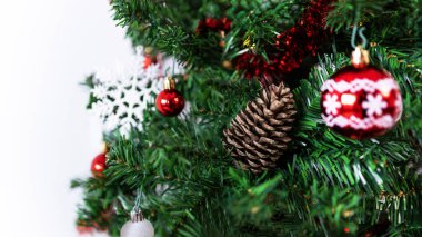 Noel çam kozalağı ile süslenmiş, Noel kozalağı ağaçta asılı, yemyeşil dallar, güzel bir Noel süsü yaratıyor..